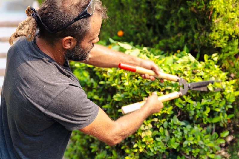 Hedge Removal Service
