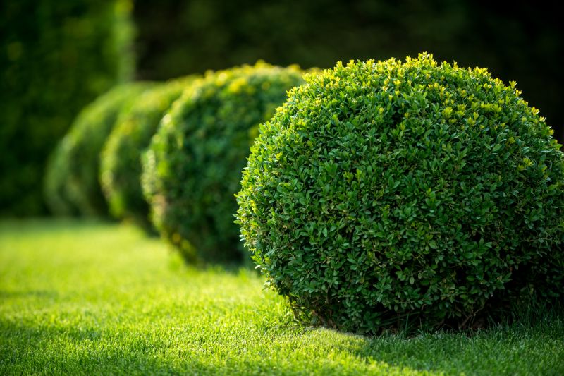 Pruned Bushes