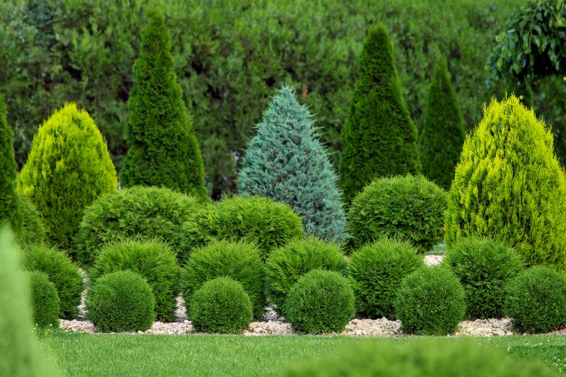 Neatly Trimmed Shrubs